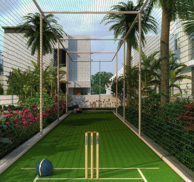 Box Cricket